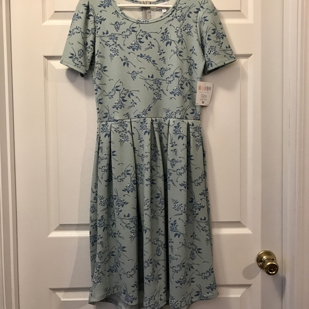 Lularoe Amelia dress, size M NWT